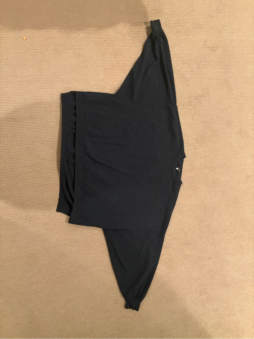 Free People Sweatshirt